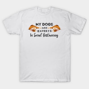 My Dogs Are Experts In Social Distancing T-Shirt